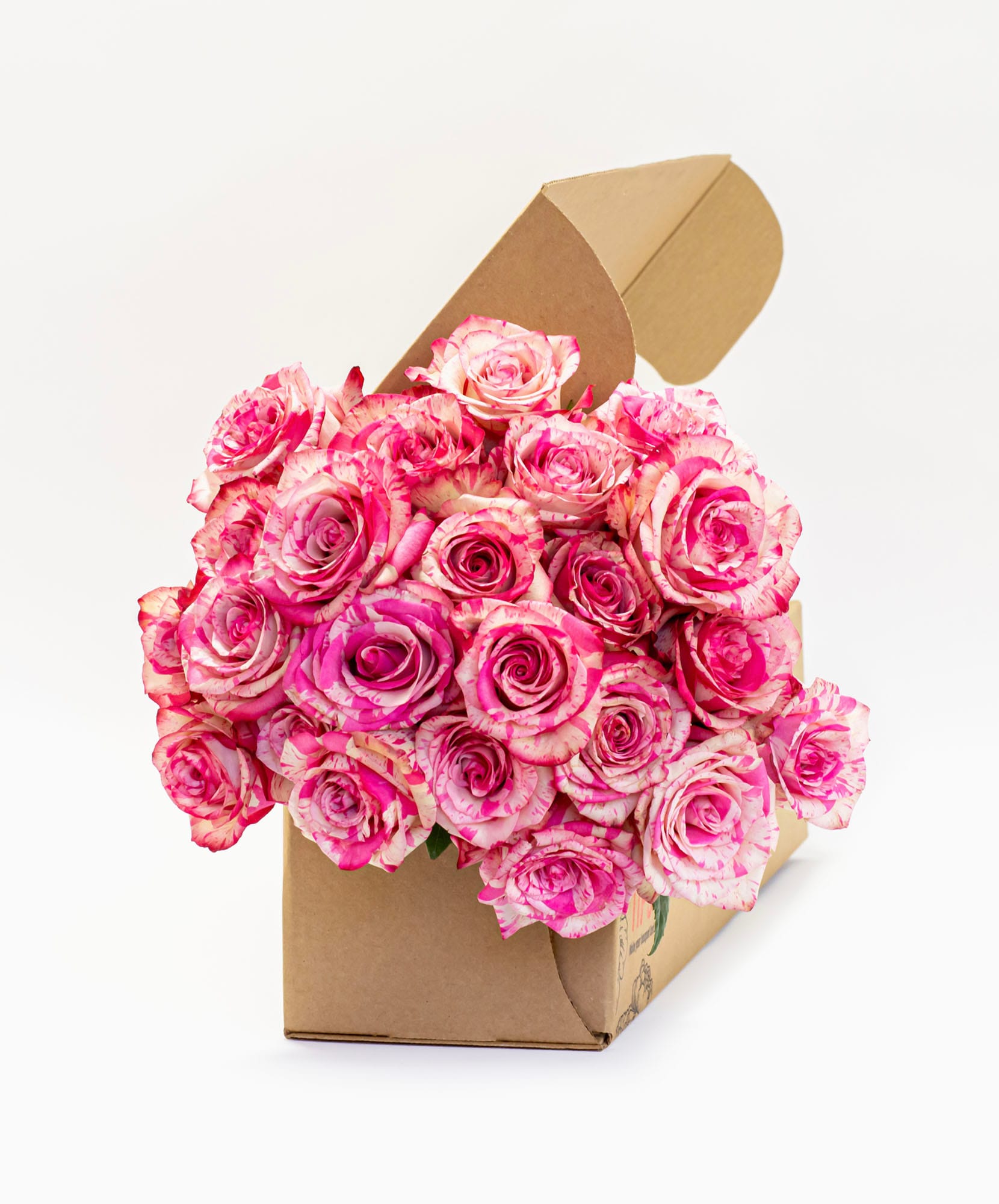 A vibrant bouquet of pink and white roses elegantly presented in a gift box.