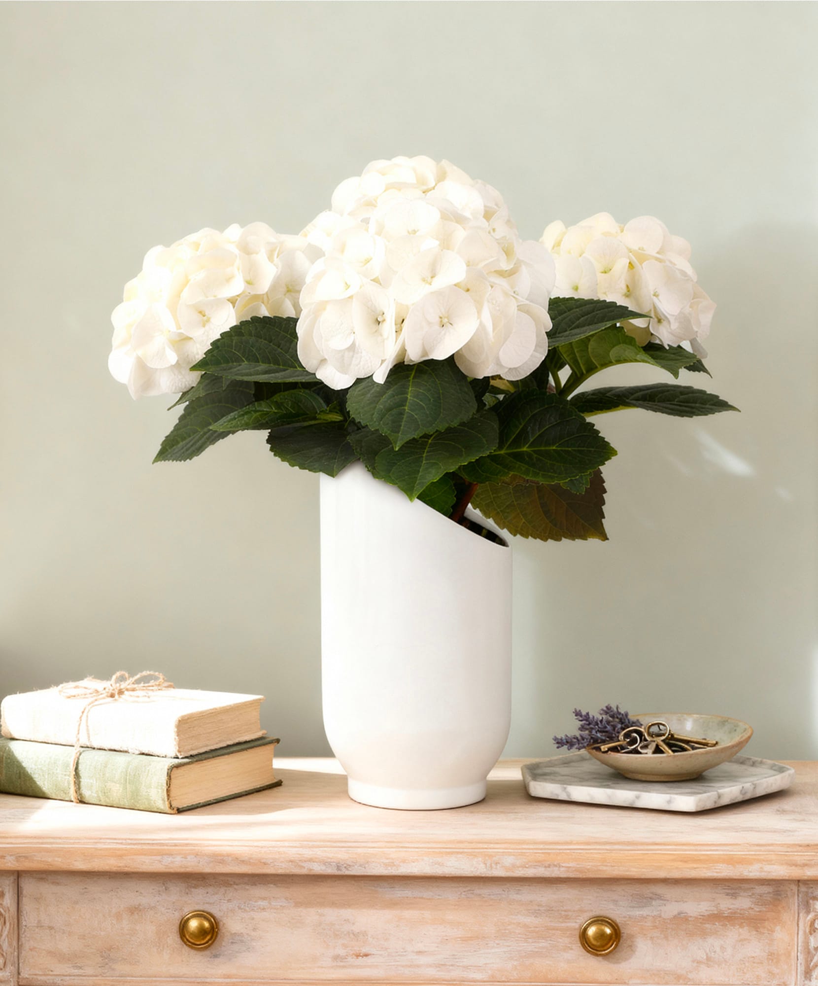 Elegant white hydrangeas in a modern vase, enhancing a serene home decor ambiance.